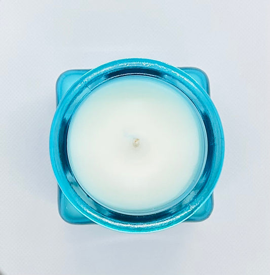 Coconut Lemongrass Soy Blend Candle - 10 oz.