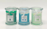 Single & Triple Pour Soy Blend Candles - On Sale - Half Price!