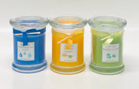 Single & Triple Pour Soy Blend Candles - On Sale - Half Price!